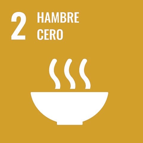 Hambre Cero